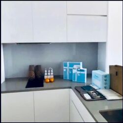 Amber Park (D15), Condominium #567736781